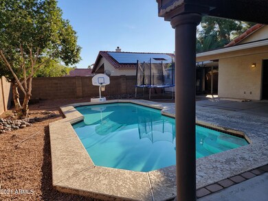 Pool 3