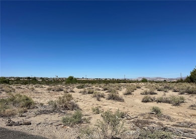 29 Palms Hwy, Twentynine Palms, CA 92277 - photo 2