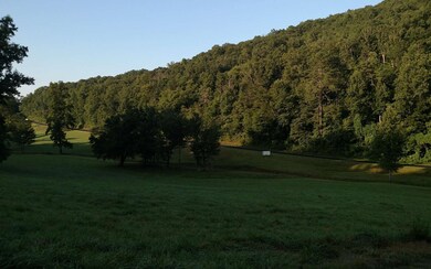 Additional View