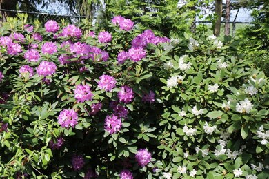 4 Park Place, Corning, NY 14830 - photo 4