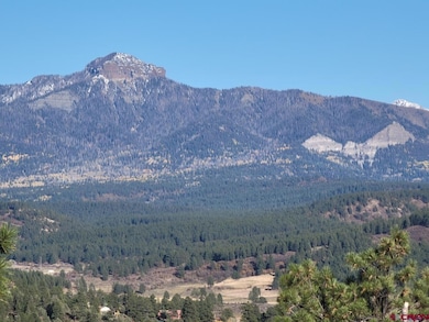 21 Echo Lake Access Easement, Pagosa Springs, CO 81147 - photo 3