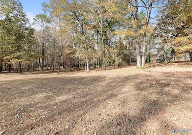 2.99 Ac Riverview Cir, Scottsboro, AL 35769 - photo 3