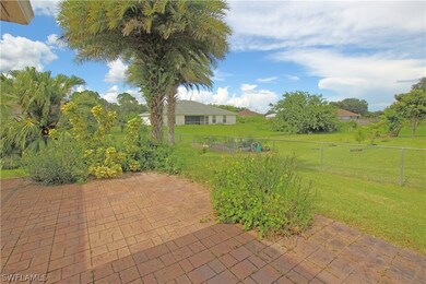 Back Yard side