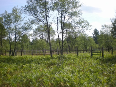 Four Iron Fenced Horse Runs