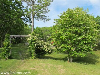 Gorgeous specimen plants grace the property