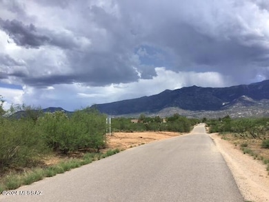 3681 E Rollins Rd, Catalina, AZ 85739 - photo 4