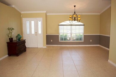Living / Dining