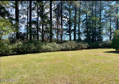 4803 Andrew Jackson Hwy SW, Chadbourn, NC 28431 - photo 6