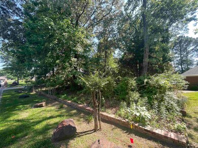 4209 Fillbrook Ln, Tyler, TX 75707 - photo 4