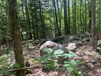 60 Pound Rd, Sanbornton, NH 03269 - photo 3