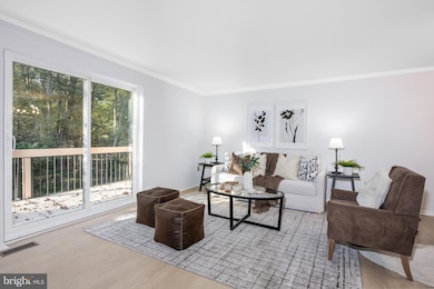 8969 Skyrock Ct, Columbia, MD 21046 - photo 3