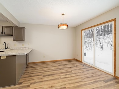 3612 Saint Francis Way unit H, Saint Paul, MN 55123 - photo 6