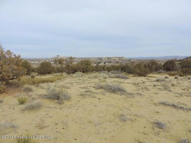 NYA New Mexico 516, Farmington, NM 87401 - photo 3