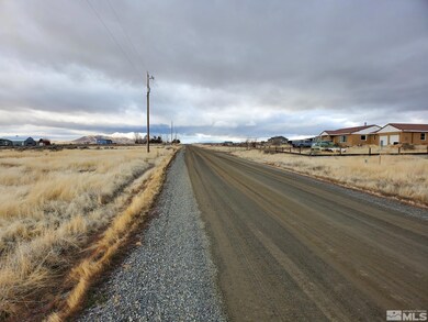 9690 Zaring Dr, Winnemucca, NV 89445 - photo 5