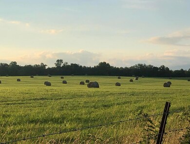 Haybales