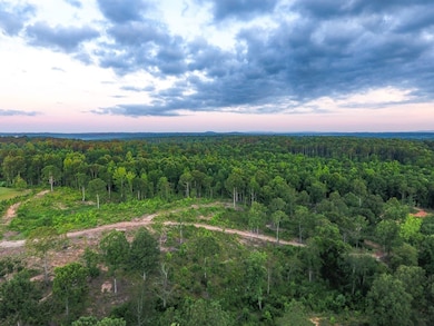 0 Roy Dean Rd unit 24150079, Buchanan, GA 30113 - photo 5