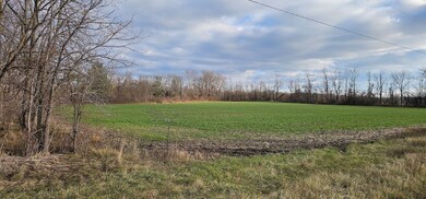 State Route 96a, Romulus, NY 14541 - photo 2