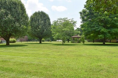 Lot #17 Nelson Downs