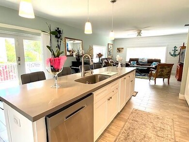 Kitchen Sink-Dishwasher Bar