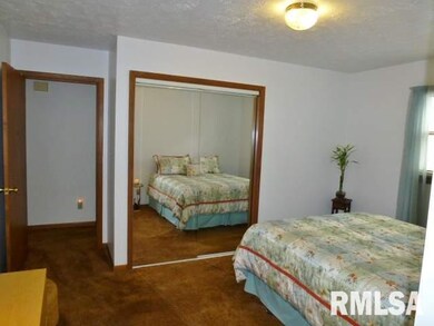 230 Heritage Ave, Lincoln, IL 62656 - photo 7