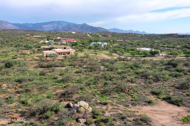 DJI_0556