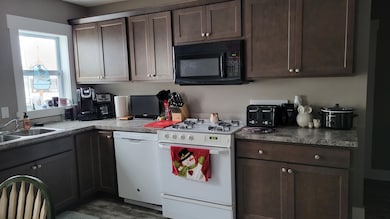 424 Elm St, Lowell, MI 49331 - photo 5