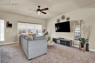 Custom window shades throughout.