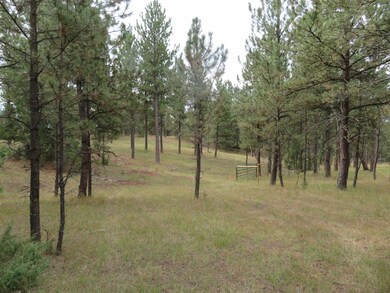 TBD Lot 34B Hombre Trail unit TBD Lot 34B, Crazy Horse, SD 57730 - photo 2
