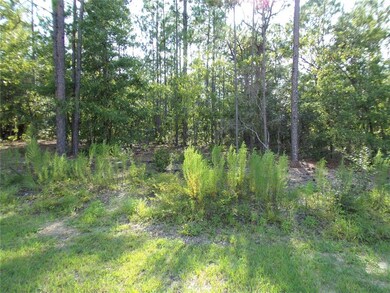 Lots of Trees