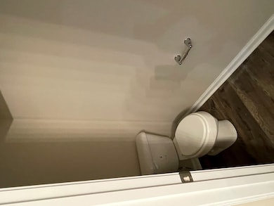 57 Riverside Dr, Ludowici, GA 31316 - photo 7