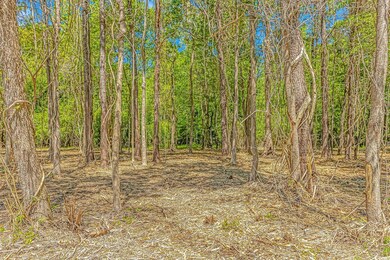 TBD Tranquil Rd unit Lot 3, Conway, SC 29527 - photo 5