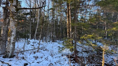 lot139&140 Bergrucken Ln, Readsboro, VT 05350 - photo 6