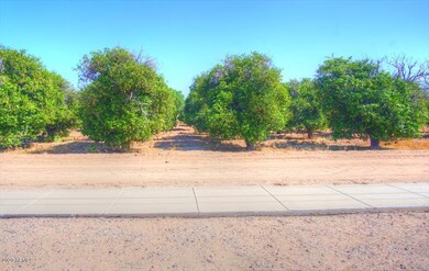 3643 E Huber St unit 2, Mesa, AZ 85205 - photo 6