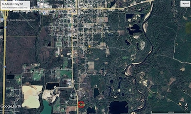 0 U S Highway 51, Amite City, LA - photo 2