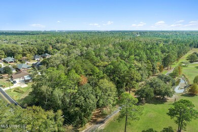 4 Drone View (5 of 9)