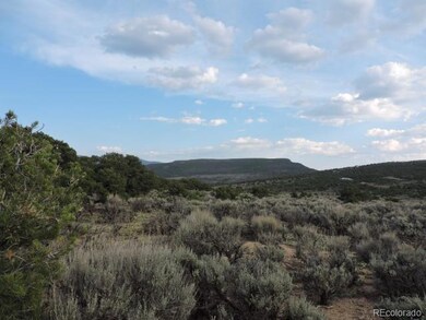 3788 Regan Place, Fort Garland, CO 81133 - photo 6