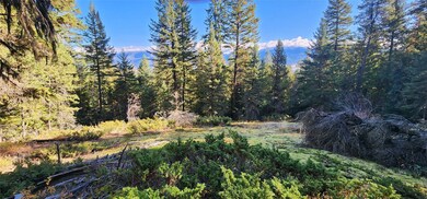 30225 Chintzy Ln, Bigfork, MT 59911 - photo 2