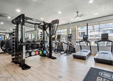 zone Westgate Gym