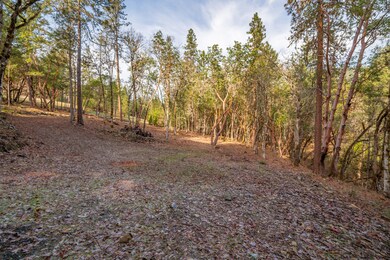 1224 W Jones Creek Rd unit Lot 2, Grants Pass, OR 97526 - photo 7