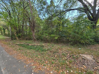 301 Cavender St, La Fayette, GA 30728 - photo 6