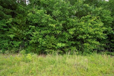 25/26 Sutton Spring Rd unit 25/26, York, SC 29745 - photo 4