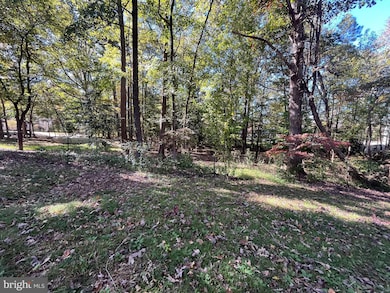 4302 Baxter Rd, Prince George, VA 23875 - photo 7