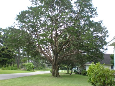 P7290573