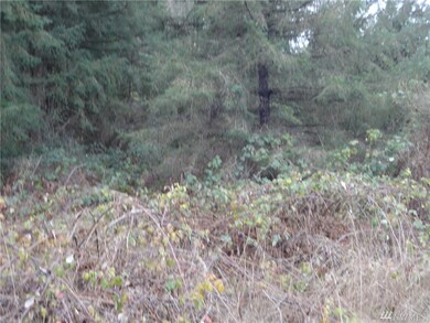 20508 182nd St E, Orting, WA 98360 - photo 3