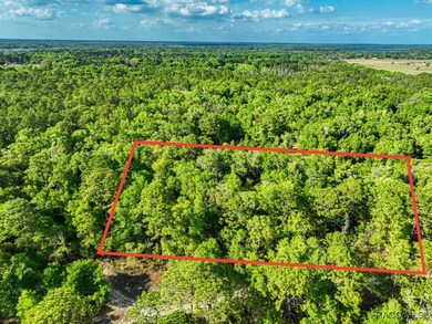 7451 W Rainbow St, Dunnellon, FL 34433 - photo 3