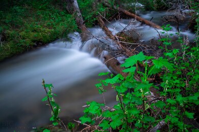 Lot 7 Bear Paw Ponds, Big Sky, MT 59716 - photo 4