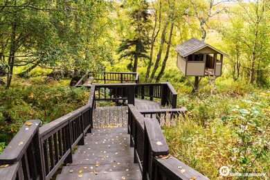 Stairs to Tree House