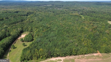 0 Piedmont Rd unit 10600733, Barnesville, GA 30204 - photo 6