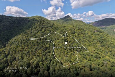 618 Nix Mountain Rd, Sapphire, NC 28774 - photo 3