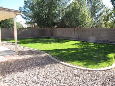 Large Backyard
